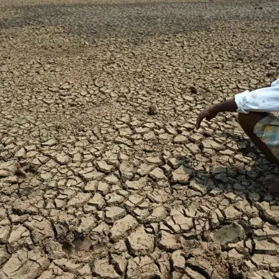 El Niño Terkuat Sejak 1950 Menguat, COP31 di Antalya Jadi Ujian Sistem Iklim Global