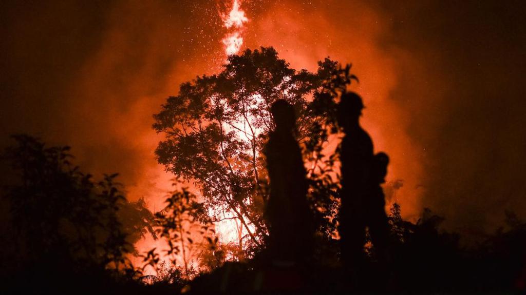 Karhutla Gambut di TN Berbak Sembilang Jambi Meluas, 4.954,90 Hektare Terbakar