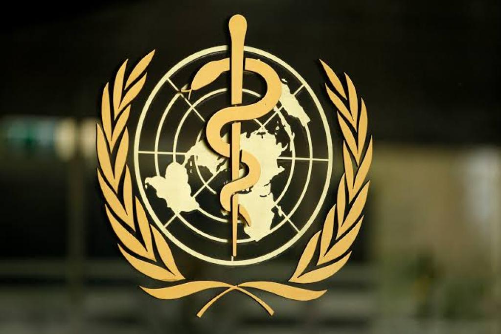 WHO Sebut Nigeria Tak Lagi Miliki Kasus Ebola Usai Pasien Dievakuasi ke Swiss