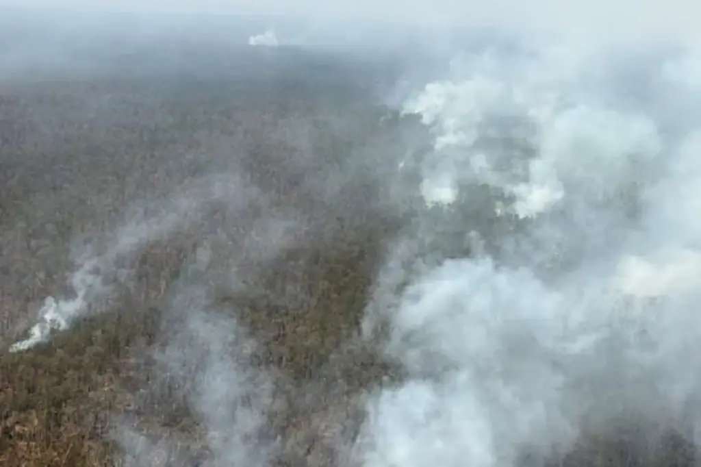 BNPB: 17.942 Hektare Karhutla Belum Padam, Kalimantan Tengah Jadi Prioritas