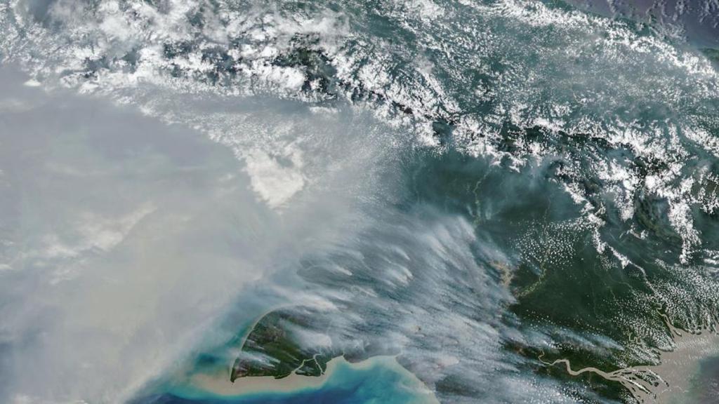 NASA Soroti Karhutla Papua, Emisi Karbon Cetak Rekor
