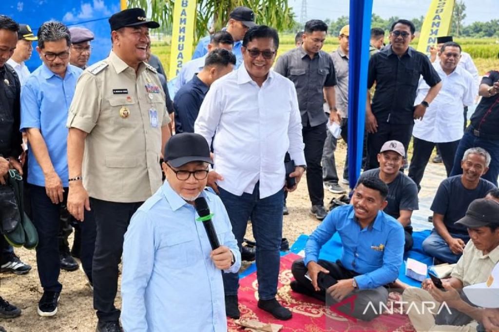 Zulhas paparkan strategi perkuat pangan saat panen raya di Batu Bara