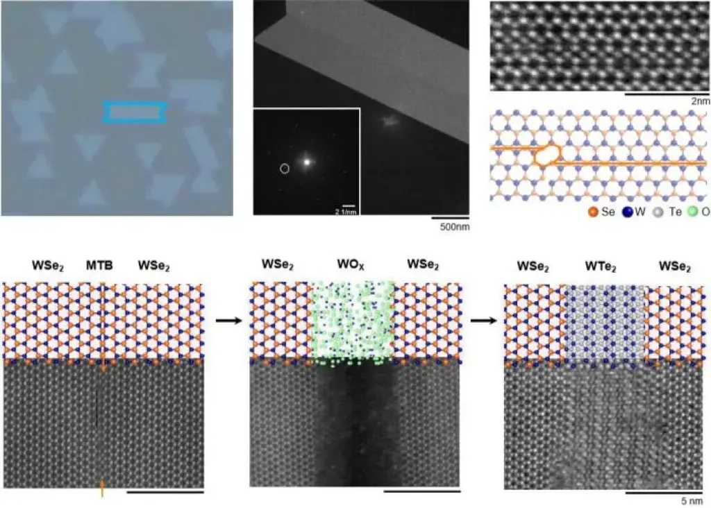 Transistor Dibuat In-Situ di Monolayer Tungsten Ditelluride