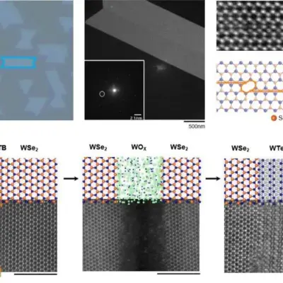 Transistor Dibuat In-Situ di Monolayer Tungsten Ditelluride