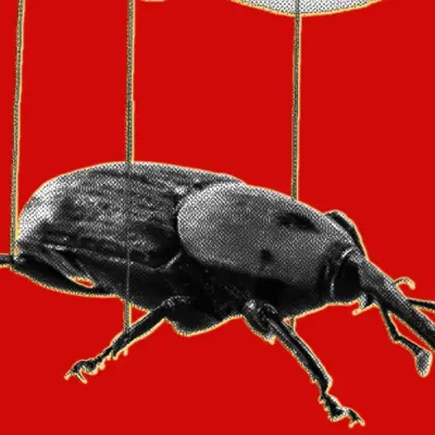 PHP2Shell dan Peran AI: Jutaan Upaya Eksploitasi, tetapi Belum Ada Serangan Berhasil