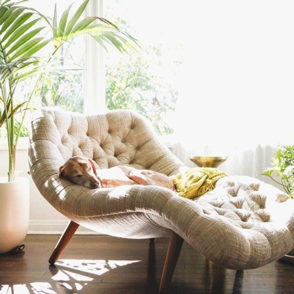 Chaise Lounge dari Gaya Klasik hingga Outdoor untuk Setiap Ruang