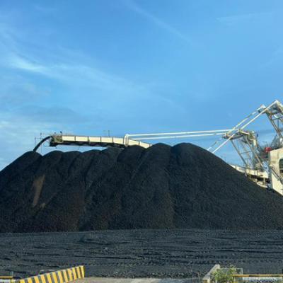 Harga Batu Bara Newcastle Naik Empat Pekan Beruntun ke US$155 per Ton
